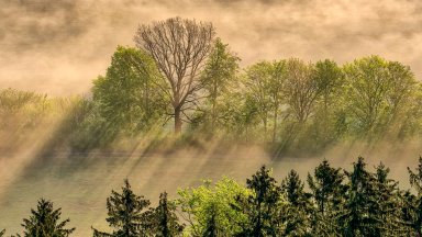 Saxon Switzerland National Park, Germany - desktop wallpaper