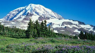 Spray Meadows, Mt. Rainier National Park, WA - desktop wallpaper