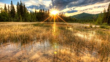 Liard Hotsprings, BC, Canada - desktop wallpaper