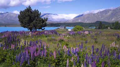 Church of the Good Shepherd, New Zealand - desktop wallpaper