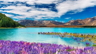 Lake Tekapo, New Zealand - desktop wallpaper