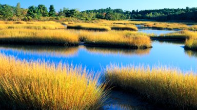 Estuary of the New Meadows River, Maine - desktop wallpaper