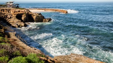 Children's Pool, La Jolla, CA - desktop wallpaper