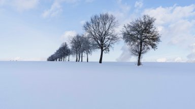 384x216.jpg