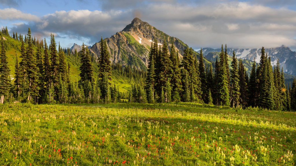 Mount Rainier National Park, WA - desktop wallpaper