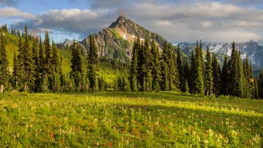 Mount Rainier National Park, WA - desktop wallpaper