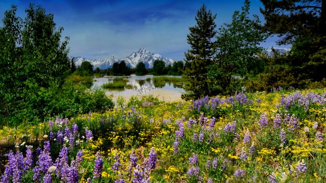 Grand Teton - desktop wallpaper