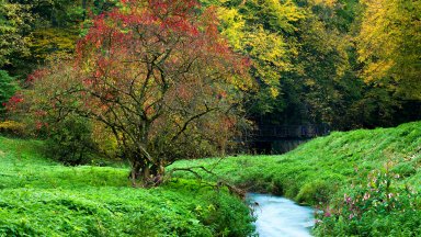 Ojcowski National Park, Poland - desktop wallpaper