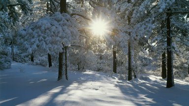 Cleveland National Forest, CA - desktop wallpaper