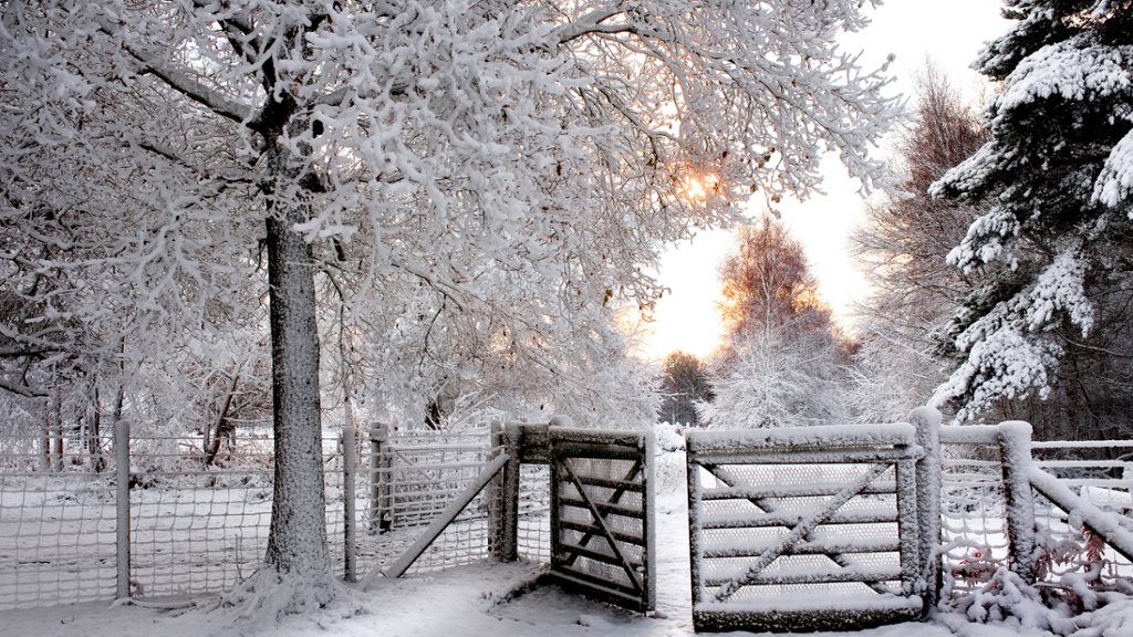 Brentwood, Essex, UK - desktop wallpaper