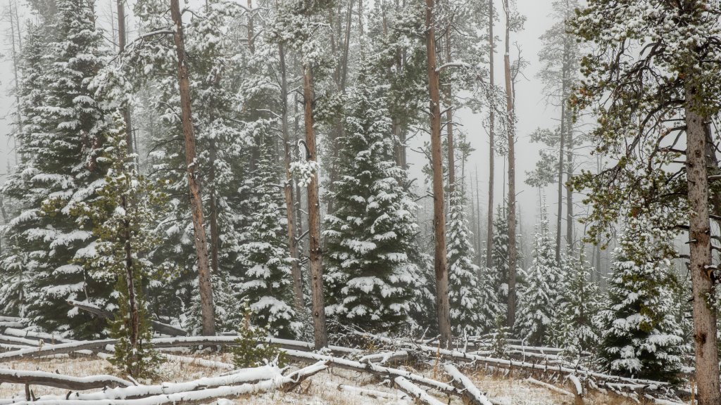 Yellowstone National Park, Wyoming - desktop wallpaper