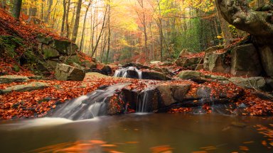 Montseny, Barcelona, Spain - desktop wallpaper