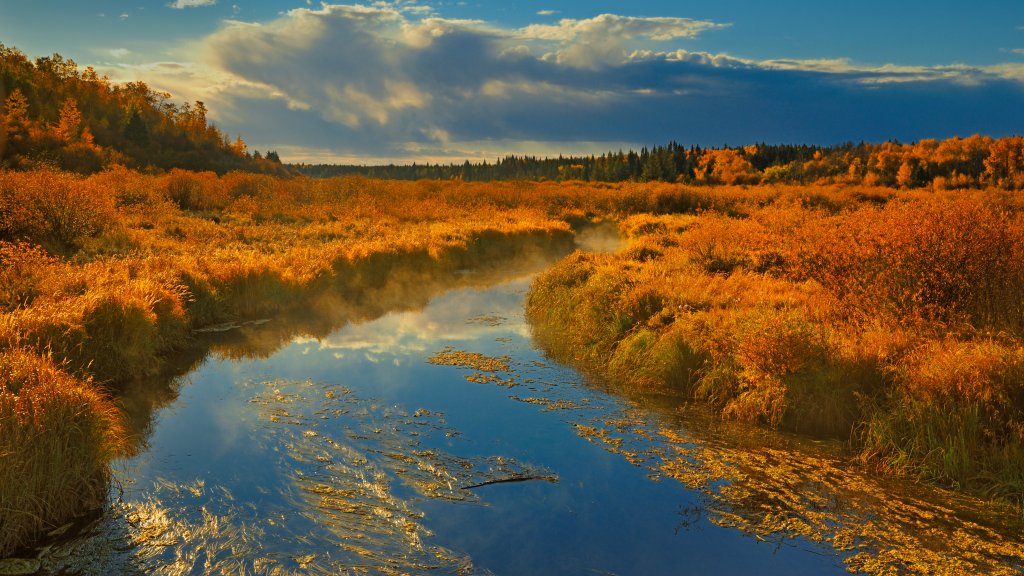 Spruce Creek, Prince Albert National Park, Canada - desktop wallpaper