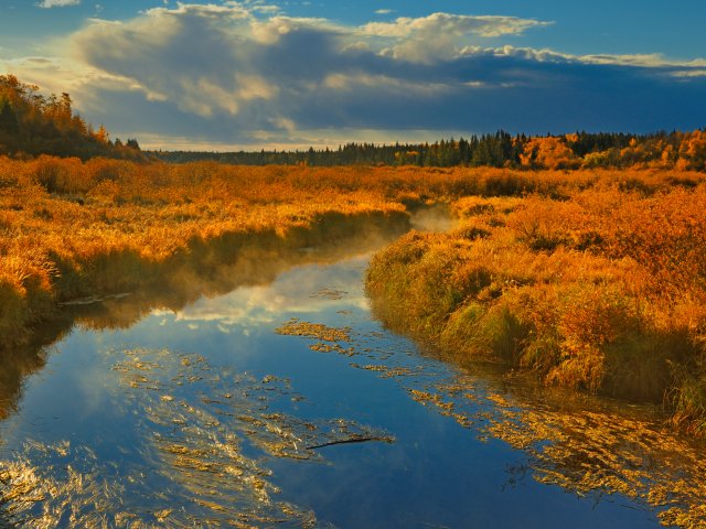 640x480.jpg