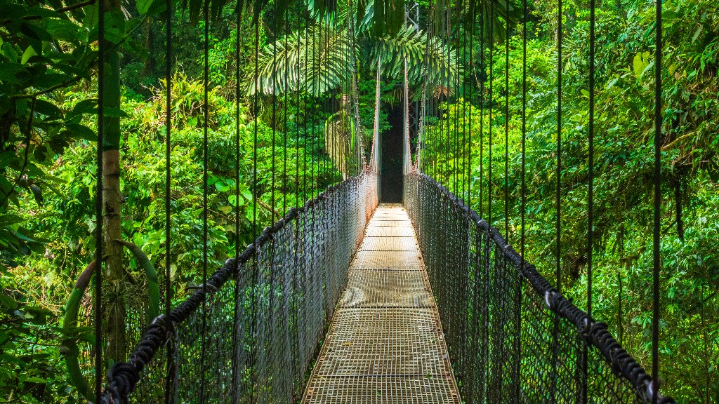 Suspension Bridge, Alajuela Province, Costa Rica - desktop wallpaper