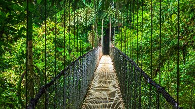 Suspension Bridge, Alajuela Province, Costa Rica - desktop wallpaper