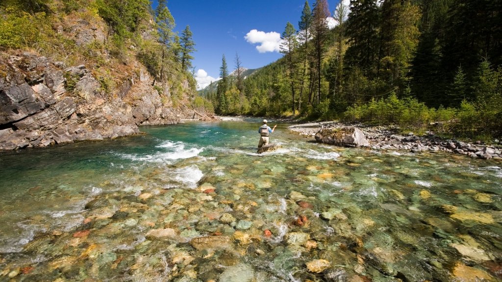 Elk River, East Kootenays, BC, Canada - desktop wallpaper