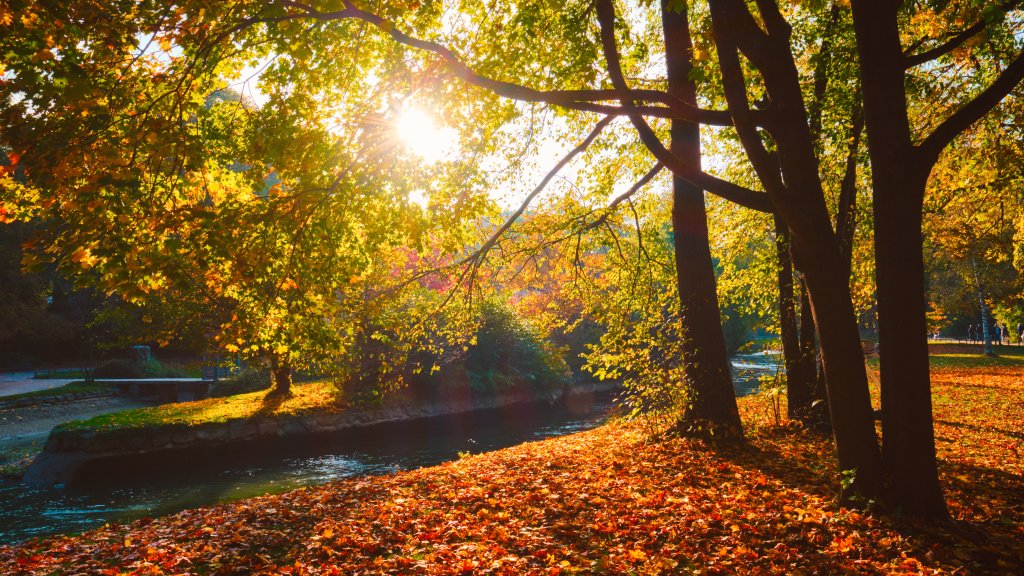 English Garden, Munich, Germany - desktop wallpaper