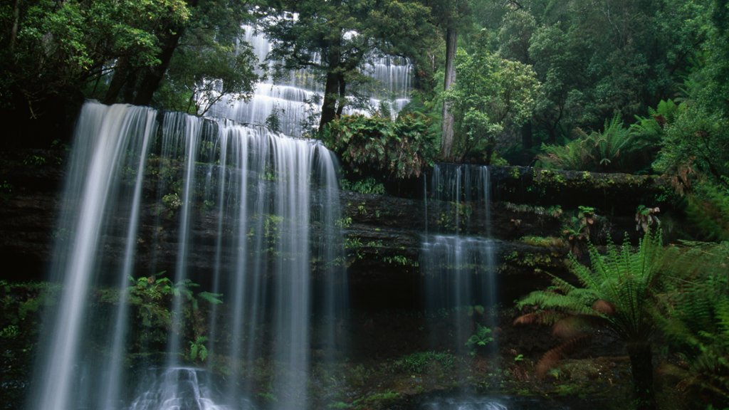 Russell Falls, Mount Field National Park, Australia - desktop wallpaper