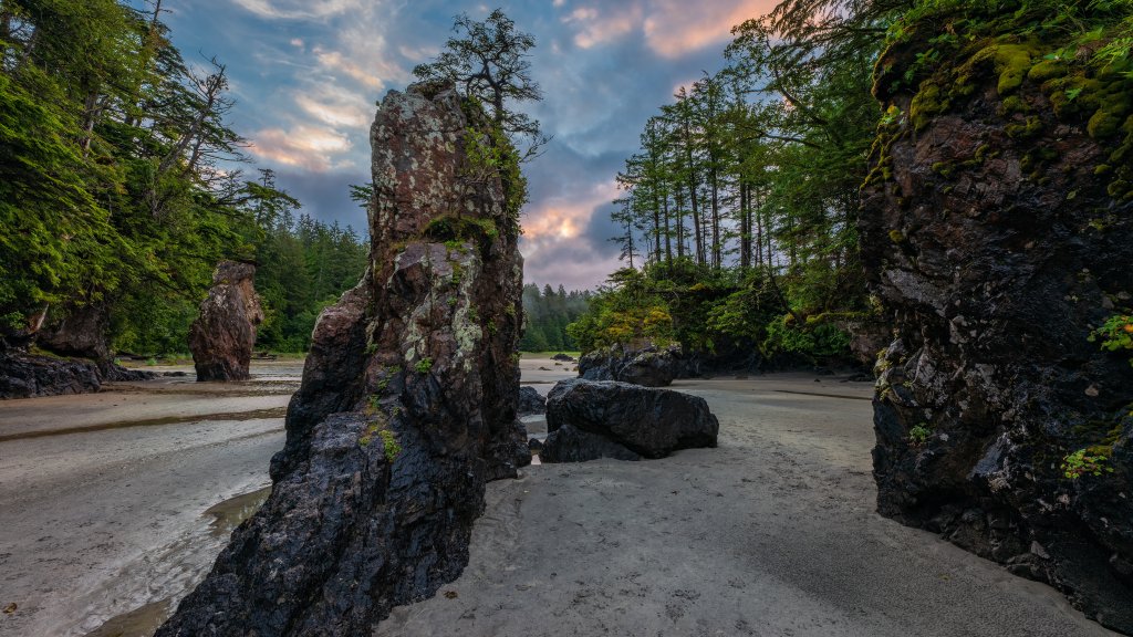 Sea Stacks, San Josef Bay, BC, Canada - desktop wallpaper