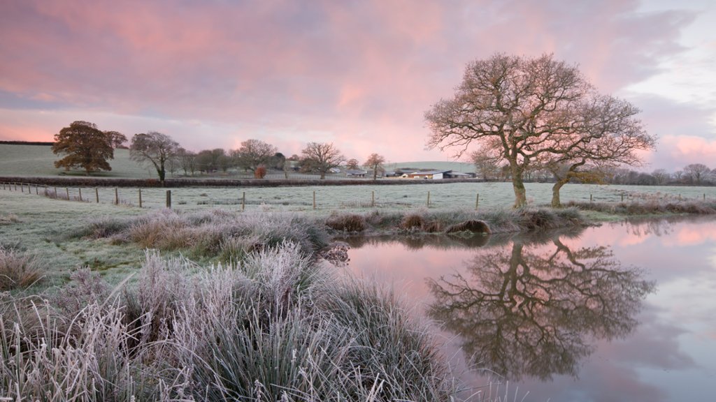 Devon, UK - desktop wallpaper