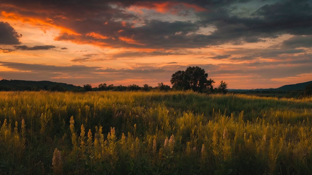 Elsterwerda, Germany - desktop wallpaper