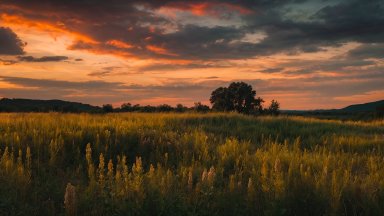 Elsterwerda, Germany - desktop wallpaper