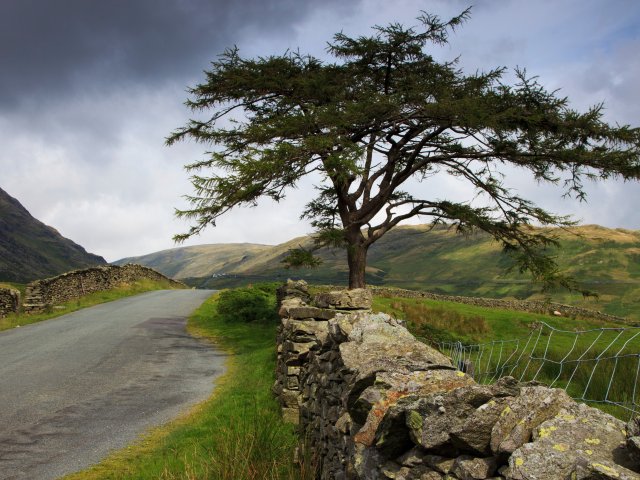 640x480.jpg