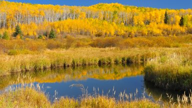 Prince Albert National Park, Saskatchewan,, Canada - desktop wallpaper