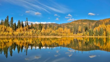 Chena River State Park, Alaska - desktop wallpaper