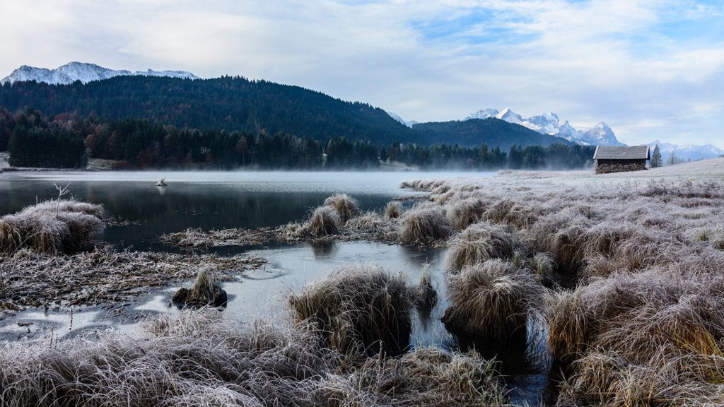 Lake Wagenbruchsee and an Alpine Pasture, Germany - desktop wallpaper