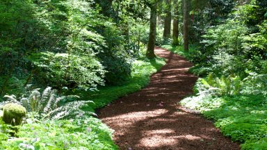 Bloedel Reserve, Bainbridge Island, WA - desktop wallpaper