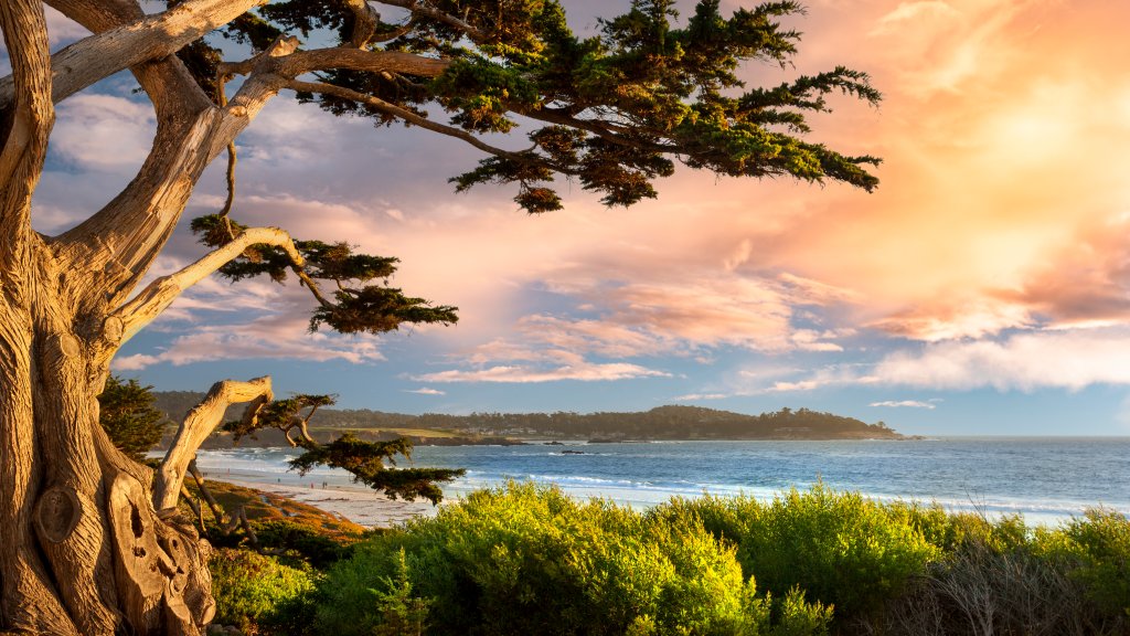Carmel-By-The-Sea, California - desktop wallpaper