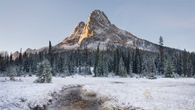 384x216.jpg