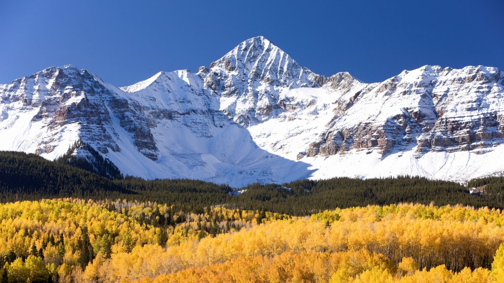 Aspens, Wilson Mesa, Mountain Village, Colorado - desktop wallpaper
