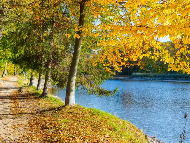 640x480.jpg