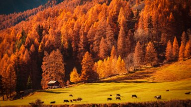 Engadin, Switzerland - desktop wallpaper
