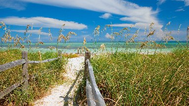 Sea Oats, Bahia Honda State Park, Florida Keys - desktop wallpaper