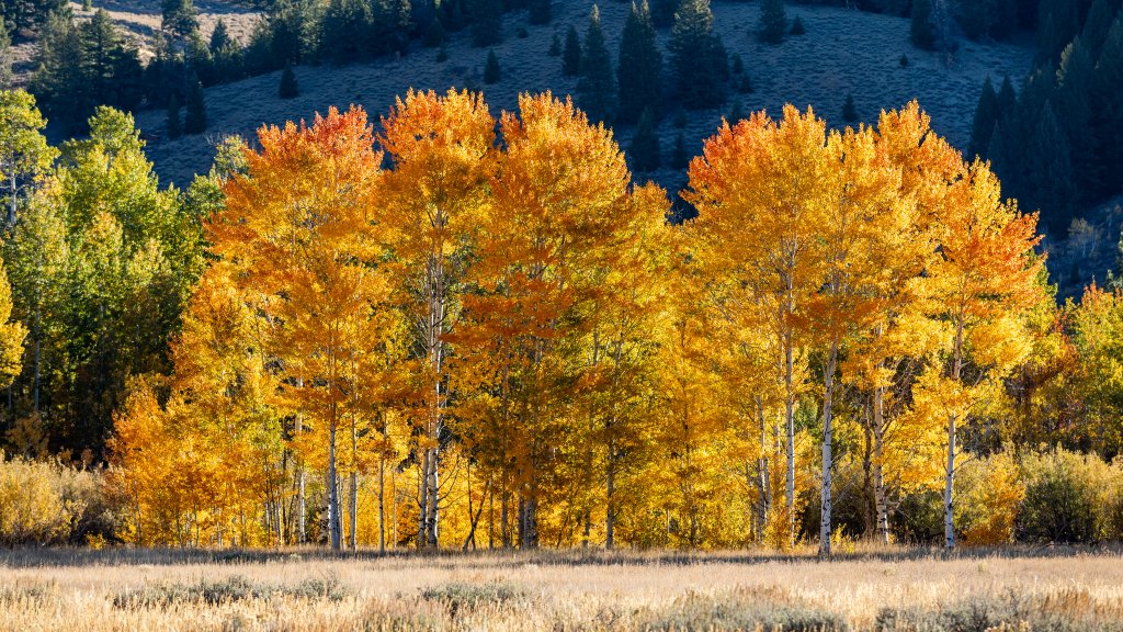 Sun Valley, Idaho - desktop wallpaper