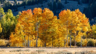 Sun Valley, Idaho - desktop wallpaper