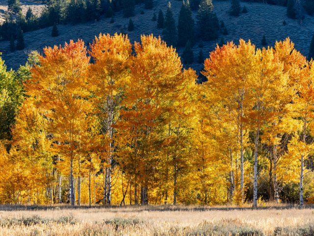 640x480.jpg
