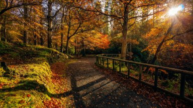 Tollymore Forest Park,  County Down, Northern Ireland - desktop wallpaper