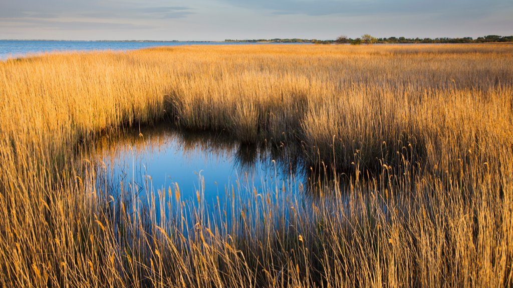 Lagoon Etang du Vaccares, Camargue, France - desktop wallpaper