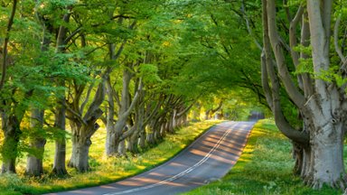 Badbury Rings, UK - desktop wallpaper