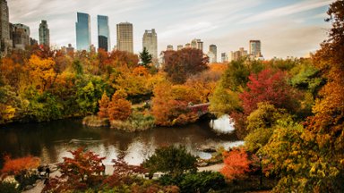 Central Park, New York City, NY - desktop wallpaper