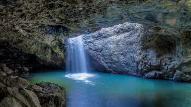 Gondwana Rainforest, Springbrook National Park, Australia - desktop wallpaper