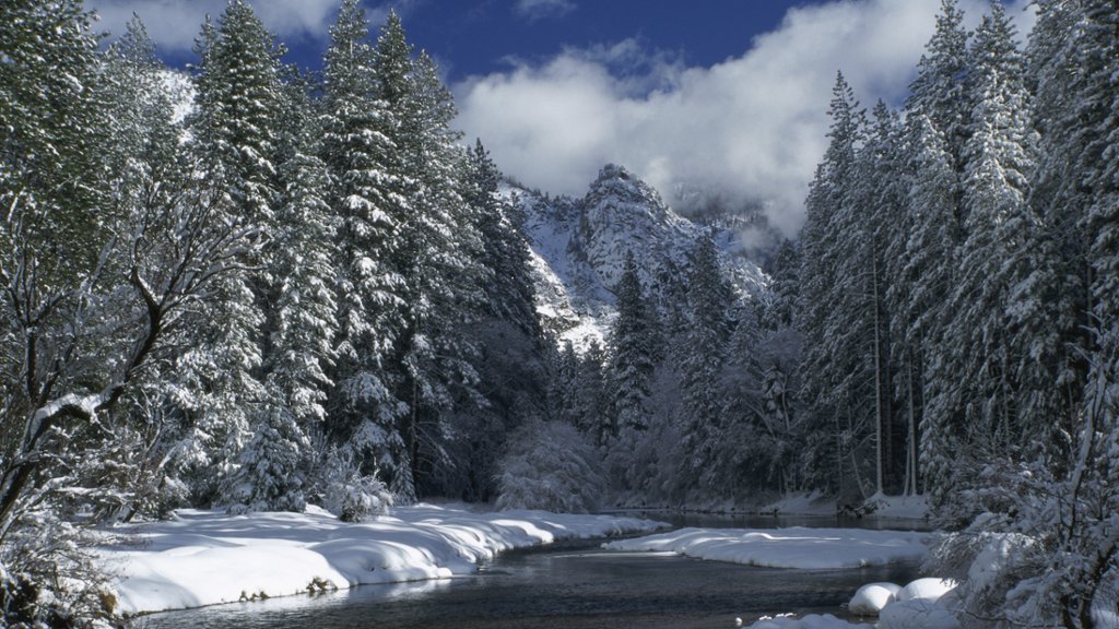 Yosemite National Park, CA - desktop wallpaper