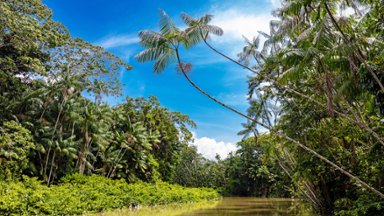 Belém, Amazon Region, Brazil - desktop wallpaper