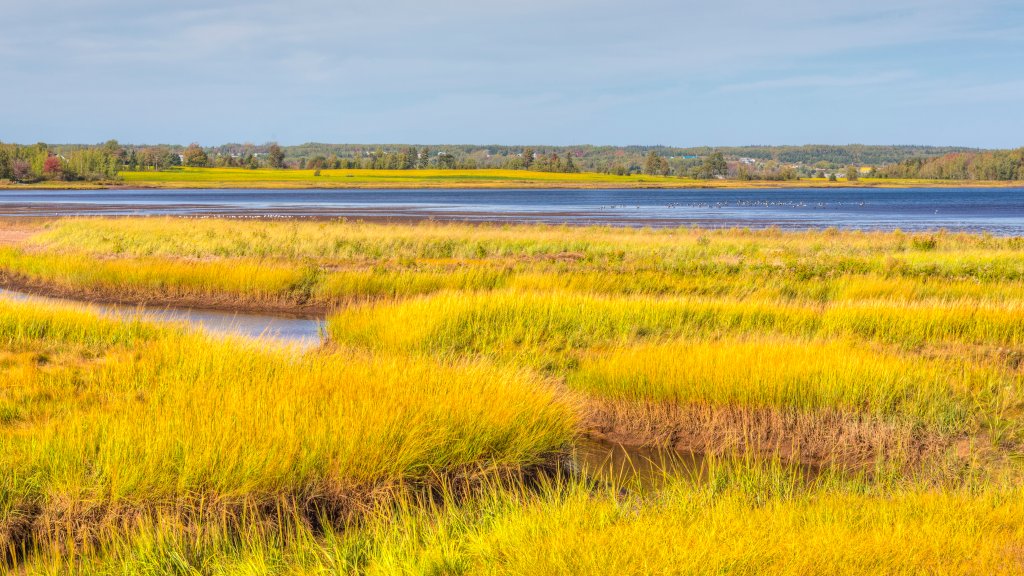 Sunrise Trail, East Linden, Nova Scotia, Canada - desktop wallpaper