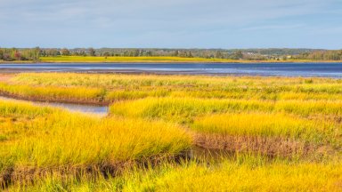 Sunrise Trail, East Linden, Nova Scotia, Canada - desktop wallpaper